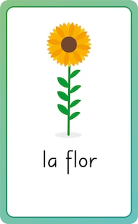 Aperçu du contenu 4_Spanish For Everyone Junior First Words Flash Cards