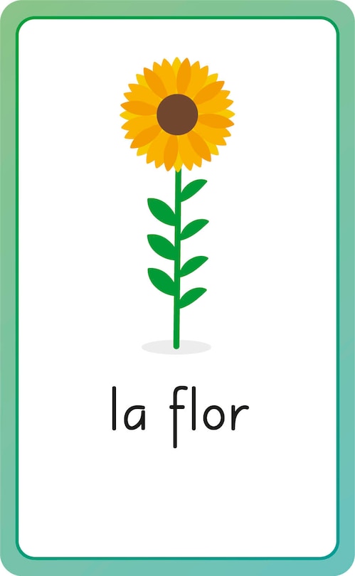 Aperçu du contenu 4_Spanish For Everyone Junior First Words Flash Cards