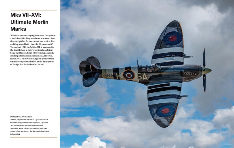 Sample content_Spitfire