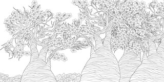Sample content_The Splendor of Trees Coloring Book