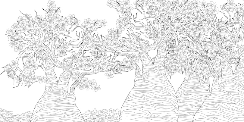 Sample content_The Splendor of Trees Coloring Book