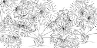 Sample content 2_The Splendor of Trees Coloring Book