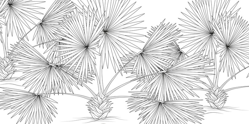 Sample content 2_The Splendor of Trees Coloring Book