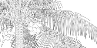 Sample content 3_The Splendor of Trees Coloring Book