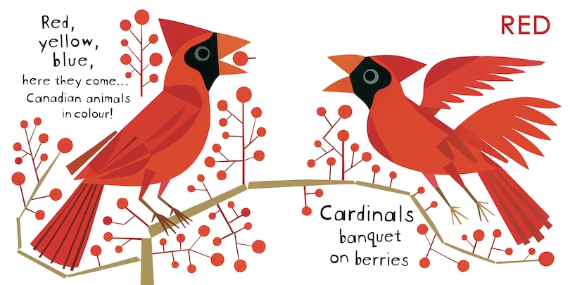 Aper&ccedil;u du contenu_Splish, Splash, Foxes Dash!