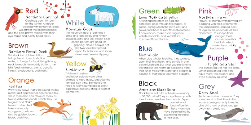 Aper&ccedil;u du contenu 4_Splish, Splash, Foxes Dash!