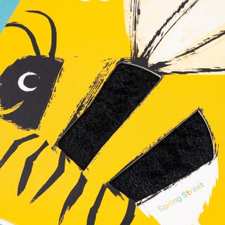 Sample content_Spring Street Touch and Feel: Bugs