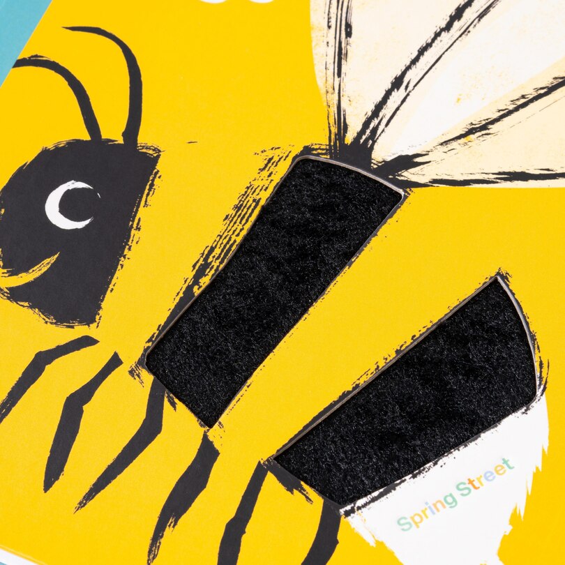 Sample content_Spring Street Touch and Feel: Bugs