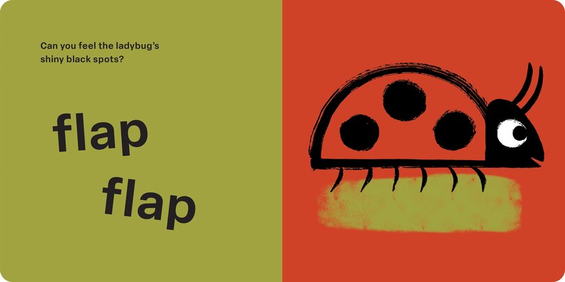 Sample content 4_Spring Street Touch and Feel: Bugs