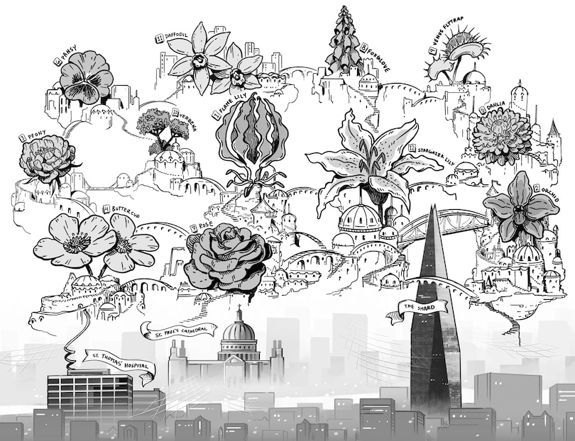 Sample content 3_Starminster: The City of Wings