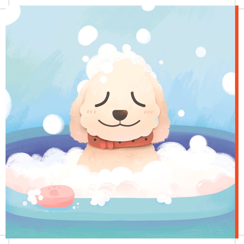 Aper&ccedil;u du contenu 4_Stella The Ambassadog