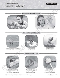 Aper&ccedil;u du contenu 3_Stem Lessons and Challenges, Grade 1