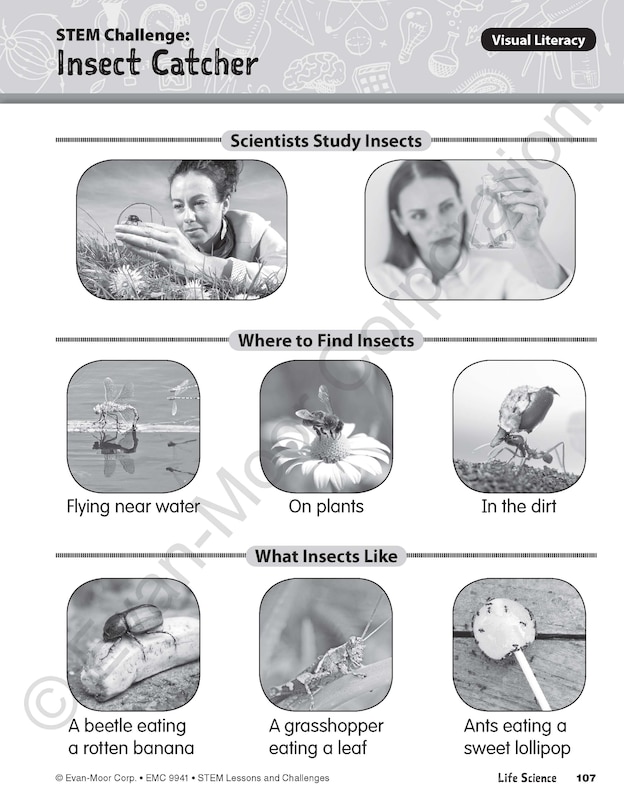 Aper&ccedil;u du contenu 3_Stem Lessons and Challenges, Grade 1