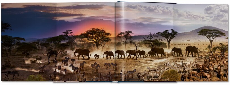 Sample content_Stephen Wilkes. Day to Night