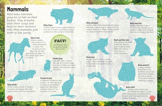 Aper&ccedil;u du contenu 2_Sticker Encyclopedia Baby Animals