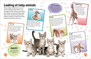 Aper&ccedil;u du contenu 3_Sticker Encyclopedia Baby Animals