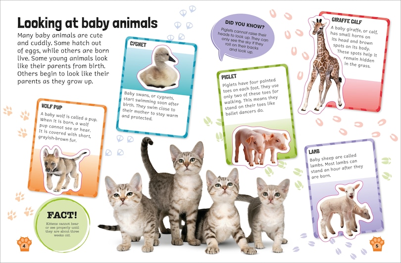 Aper&ccedil;u du contenu 3_Sticker Encyclopedia Baby Animals