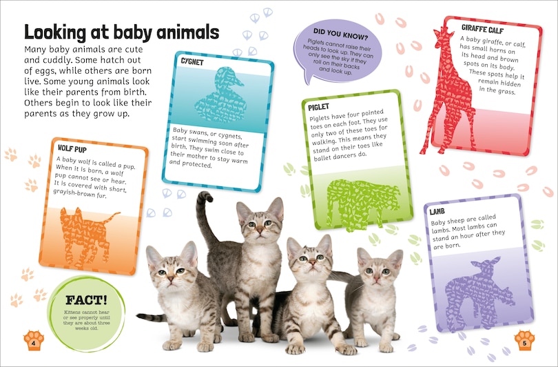 Aper&ccedil;u du contenu 4_Sticker Encyclopedia Baby Animals