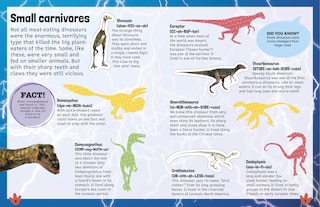 Aper&ccedil;u du contenu 2_Sticker Encyclopedia Dinosaurs