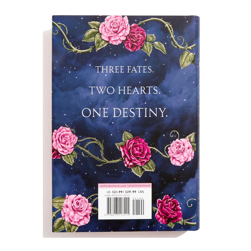 Back cover_Stolen Midnights