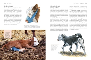 Aper&ccedil;u du contenu_Storey's Guide To Raising Beef Cattle, 4th Edition