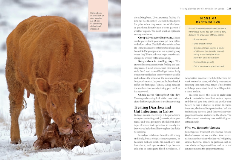 Aper&ccedil;u du contenu 2_Storey's Guide To Raising Beef Cattle, 4th Edition