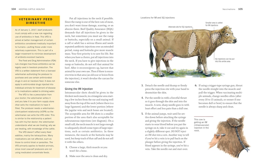 Aper&ccedil;u du contenu 3_Storey's Guide To Raising Beef Cattle, 4th Edition