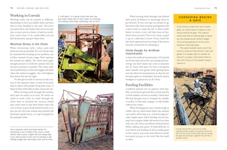 Aper&ccedil;u du contenu 5_Storey's Guide To Raising Beef Cattle, 4th Edition