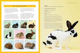 Aperçu du contenu 2_Storey's Guide To Raising Rabbits, 5th Edition
