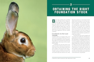 Aperçu du contenu 3_Storey's Guide To Raising Rabbits, 5th Edition