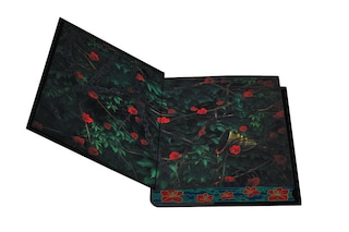 Aper&ccedil;u du contenu 2_Storm of Secrets and Sorrow: Deluxe Special Edition