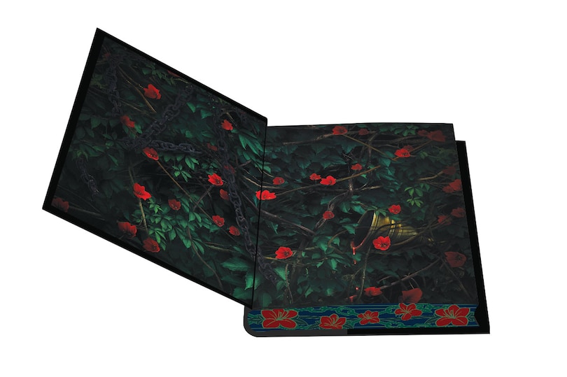 Aper&ccedil;u du contenu 2_Storm of Secrets and Sorrow: Deluxe Special Edition