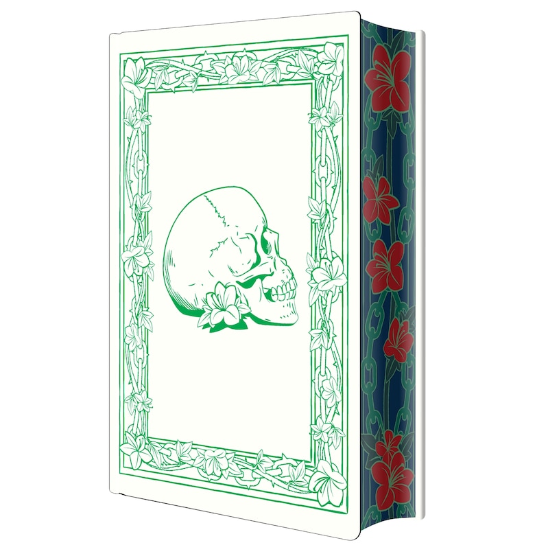 Aper&ccedil;u du contenu 3_Storm of Secrets and Sorrow: Deluxe Special Edition