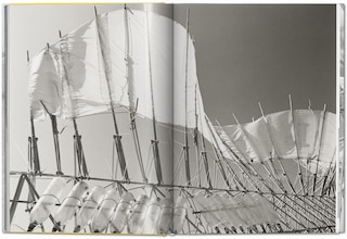 Aper&ccedil;u du contenu_Strandbeest. The Dream Machines of Theo Jansen