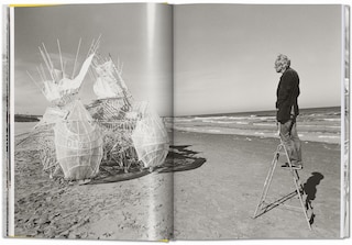 Aper&ccedil;u du contenu 2_Strandbeest. The Dream Machines of Theo Jansen