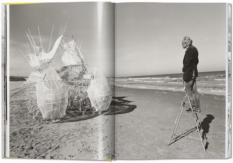 Aper&ccedil;u du contenu 2_Strandbeest. The Dream Machines of Theo Jansen