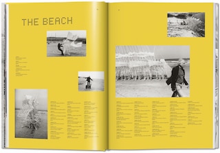 Aper&ccedil;u du contenu 3_Strandbeest. The Dream Machines of Theo Jansen