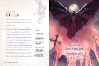 Aper&ccedil;u du contenu 4_Strange and Terrible Things