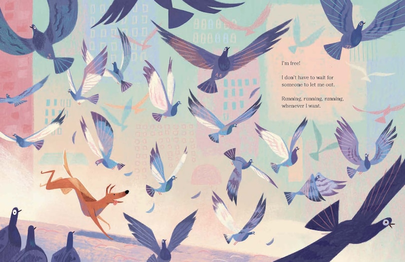 Sample content 2_Stray