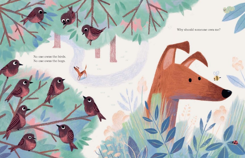 Sample content 3_Stray