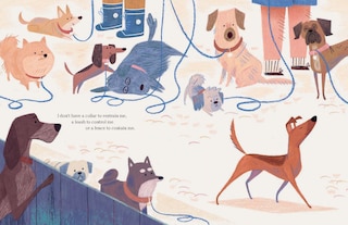 Sample content 4_Stray