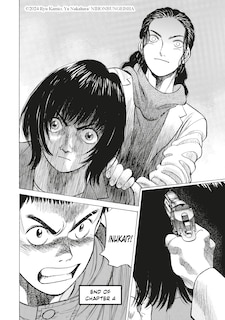 Sample content 4_Stray