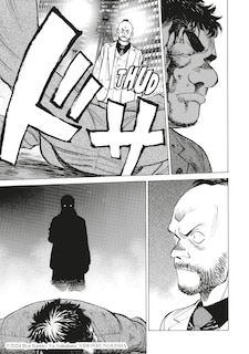 Sample content 5_Stray