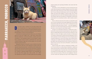 Sample content_Street Cats & Where to Find Them