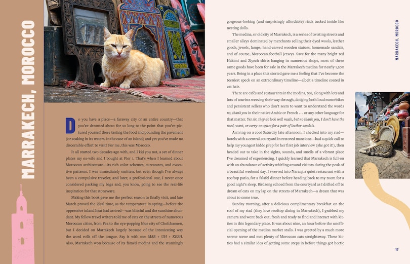 Sample content_Street Cats & Where to Find Them