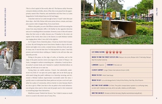 Sample content 2_Street Cats & Where to Find Them