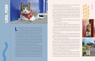 Sample content 3_Street Cats & Where to Find Them