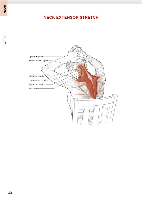 Sample content 2_Stretching Anatomy