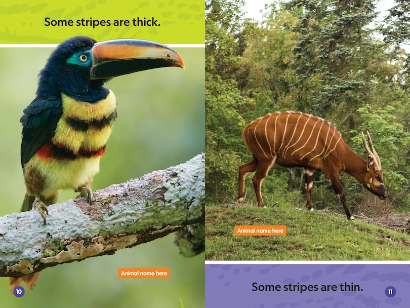 Sample content 2_Stripes and Spots (National Geographic Kids Readers, Pre-Reader)