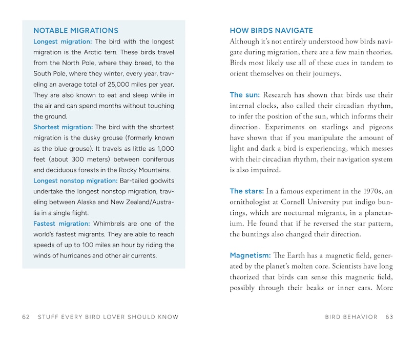 Aperçu du contenu 3_Stuff Every Bird Lover Should Know